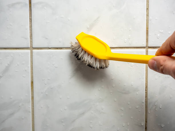 Best Preventive Mold Services in Troy, MI
