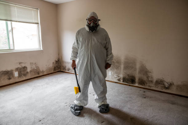 Best Bathroom Mold Remediation in Troy, MI
